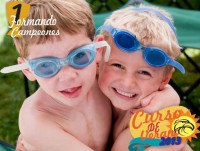Curso de Verano 2013
